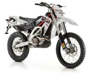 RXV450